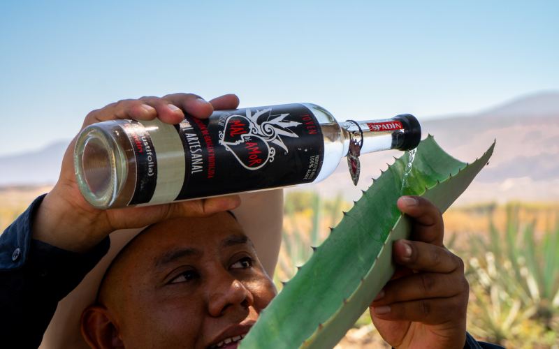 Cata de mezcal